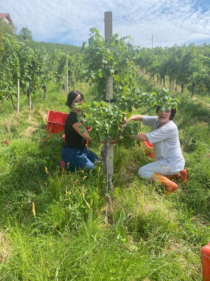 Trautenburg Stub'N Leutschach Kültér fotó