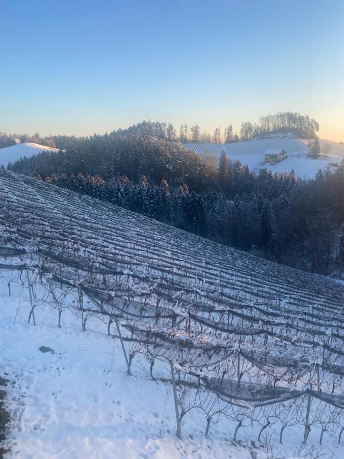 Trautenburg Stub'N Leutschach Kültér fotó